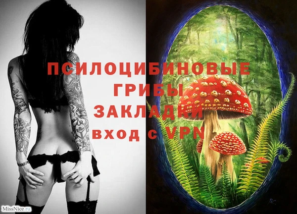 ПСИЛОЦИБИНОВЫЕ ГРИБЫ Аркадак