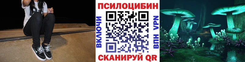 где купить наркоту  Заинск  Псилоцибиновые грибы MAGIC MUSHROOMS 